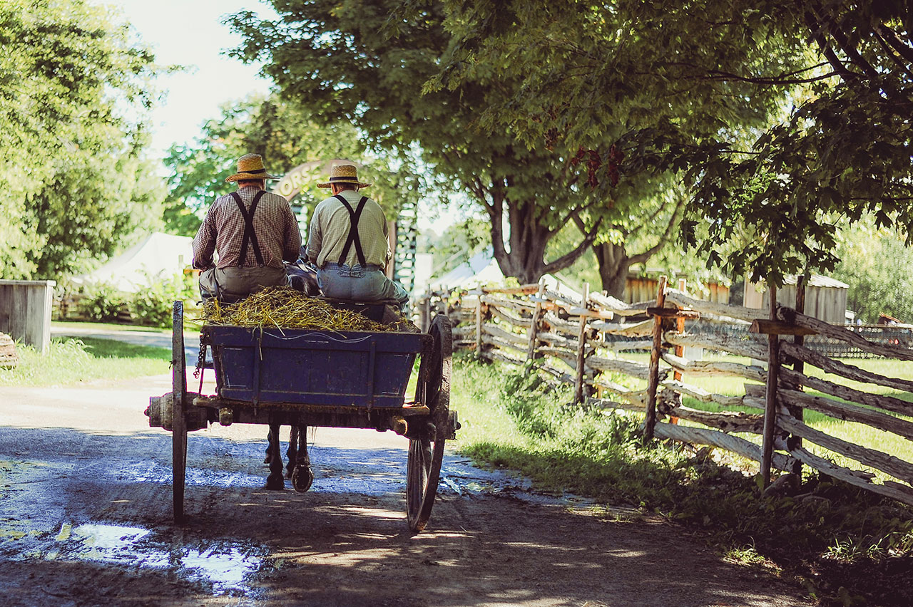 amish in a buggy