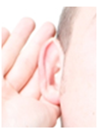 Listening with ear -- discovering chiropractic
