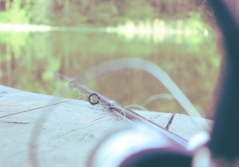 fishtowater3